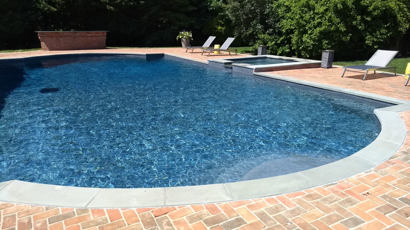Hamptons pool maintained by Pools by Andres